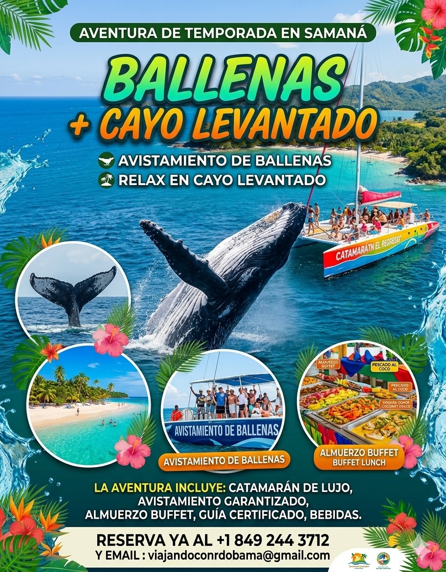 Ballenas + Cayo Levantado